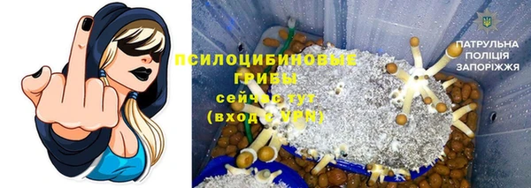 а пвп мука Алзамай