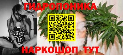 мдма Гай