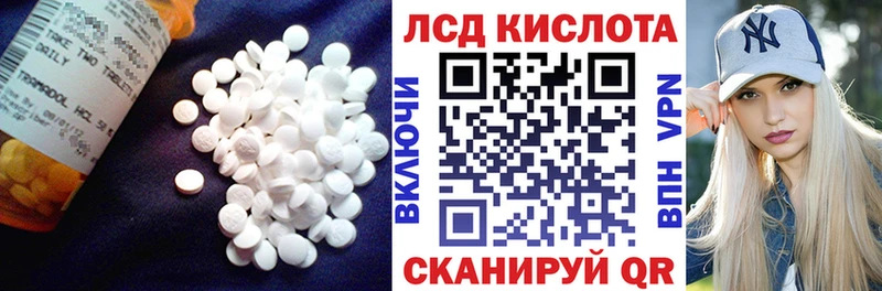 Лсд 25 экстази ecstasy  где можно купить наркотик  Новозыбков 