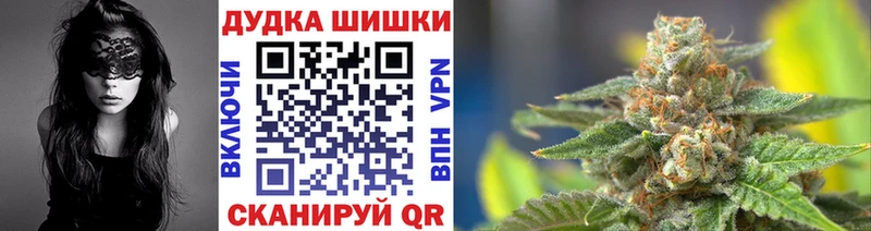 купить сайты Новозыбков MEGA онион МАРИХУАНА AK-47