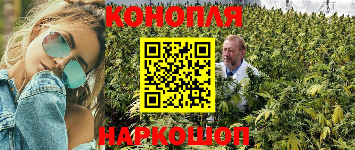 Канабис ГИДРОПОН  Вход с VPN  Новозыбков  Конопля семена  Бошки Шишки MAZAR 